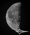 SW BD25012 + Baader Planetarium Mark III; Nikon D7200; ISO 250; 1/320s; WS-201WD; PIPP, AuSt, LR.August 6, 2026 (UTC 01:50 � 01:58)stacked for 10% of ...